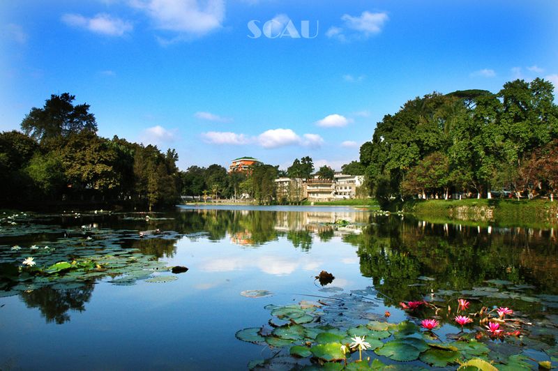 SCAU Hongze Lake