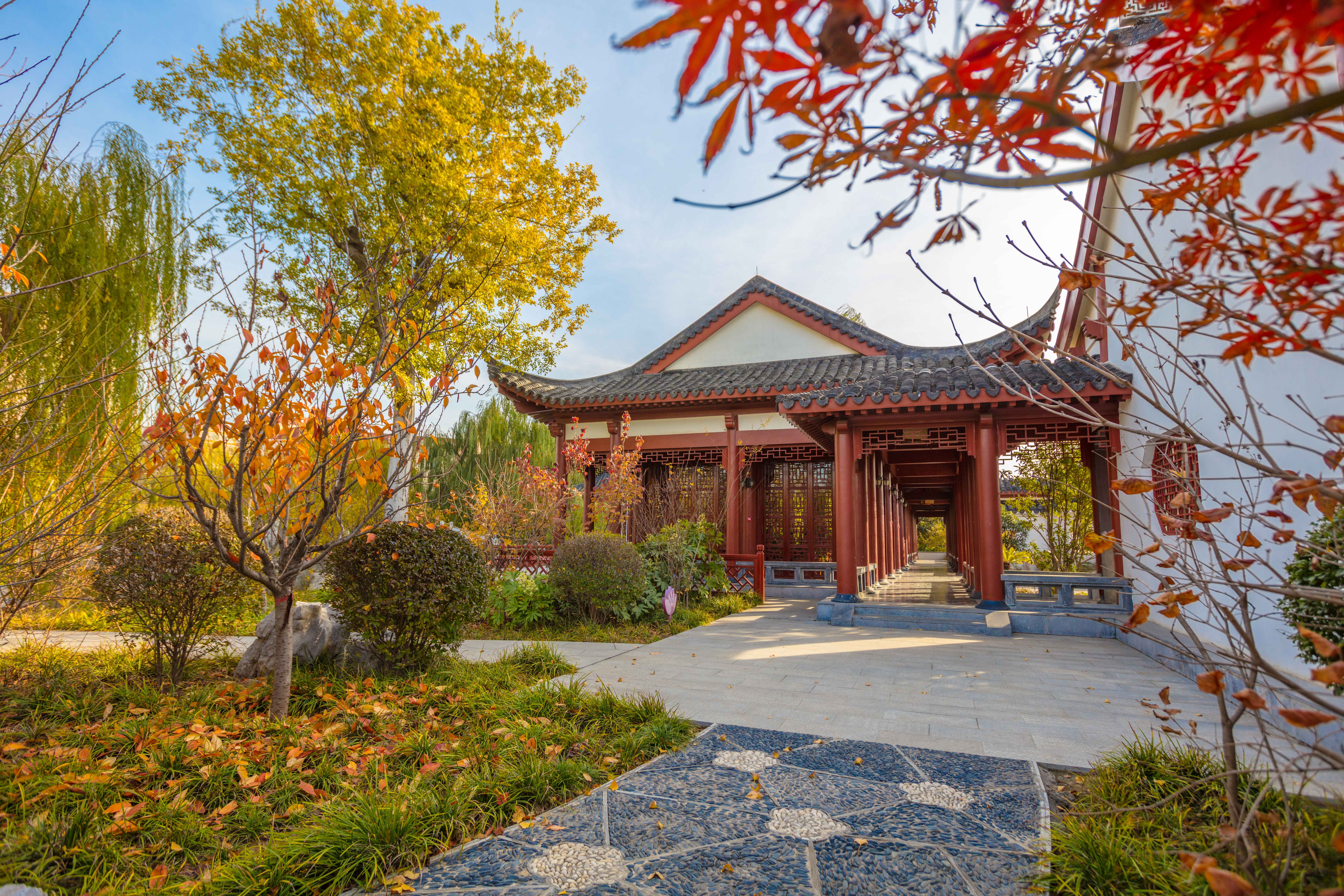 SIAS china garden (2)