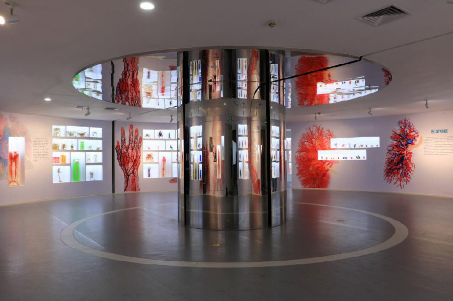 SMU Human Body Science Museum 2