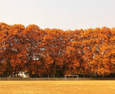 WHU field