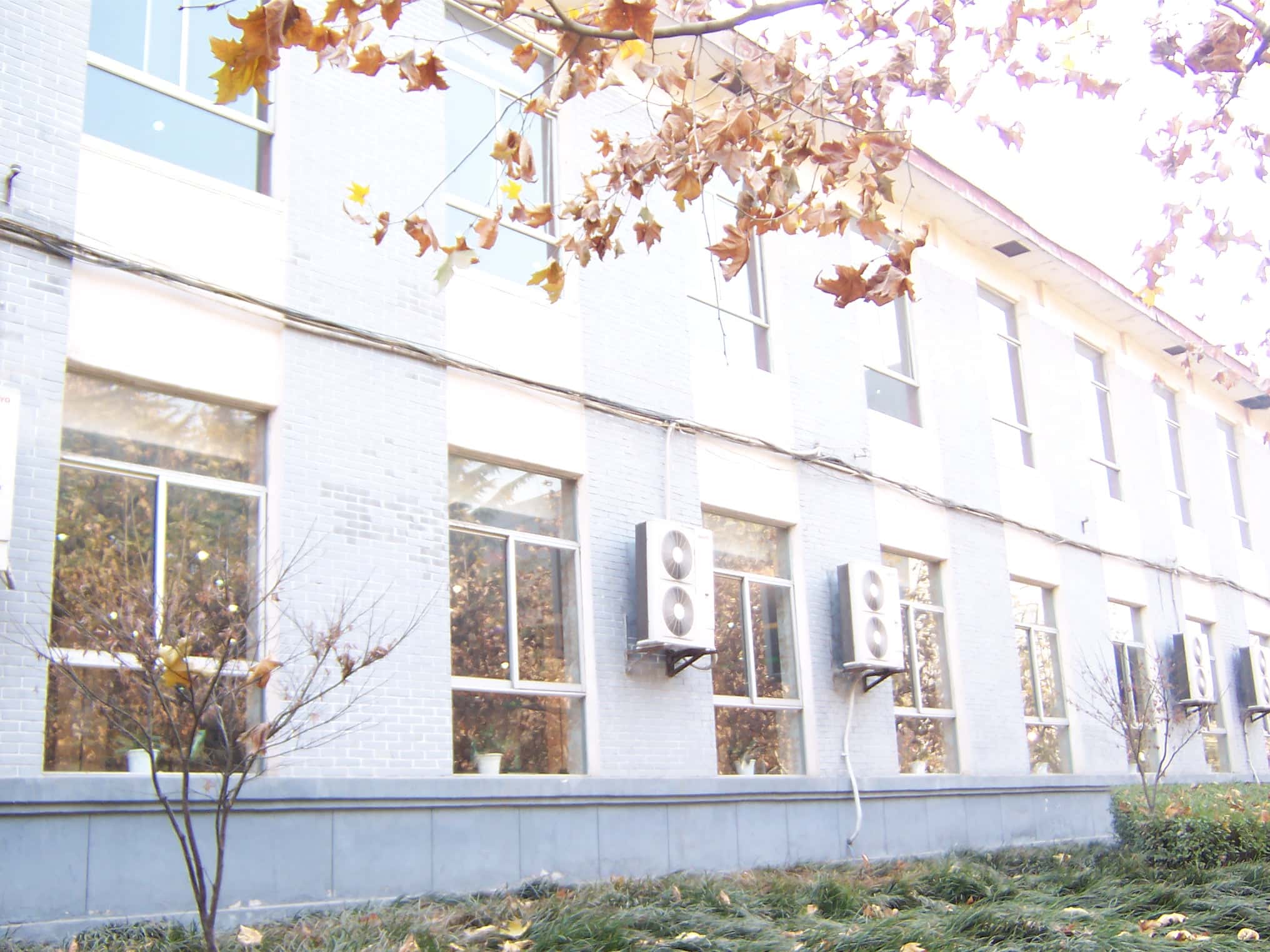 XJTU east canteen